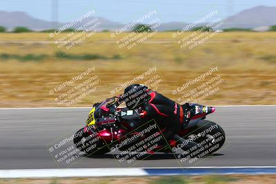 media/Apr-30-2023-CRA (Sun) [[020fcf5d43]]/Race 3-1000 Amateur Supersport/